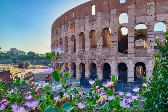 https://www.romewise.com/images/colosseum-flowers-summer-small.jpeg