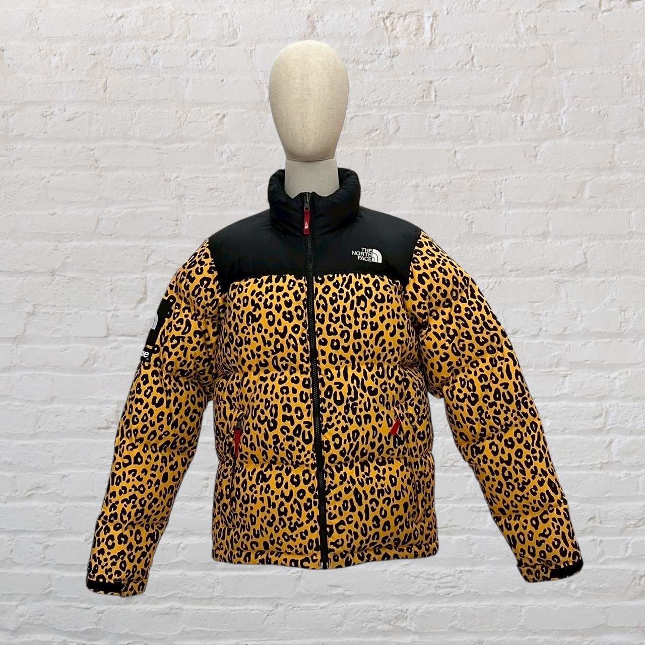 the north face x supreme
