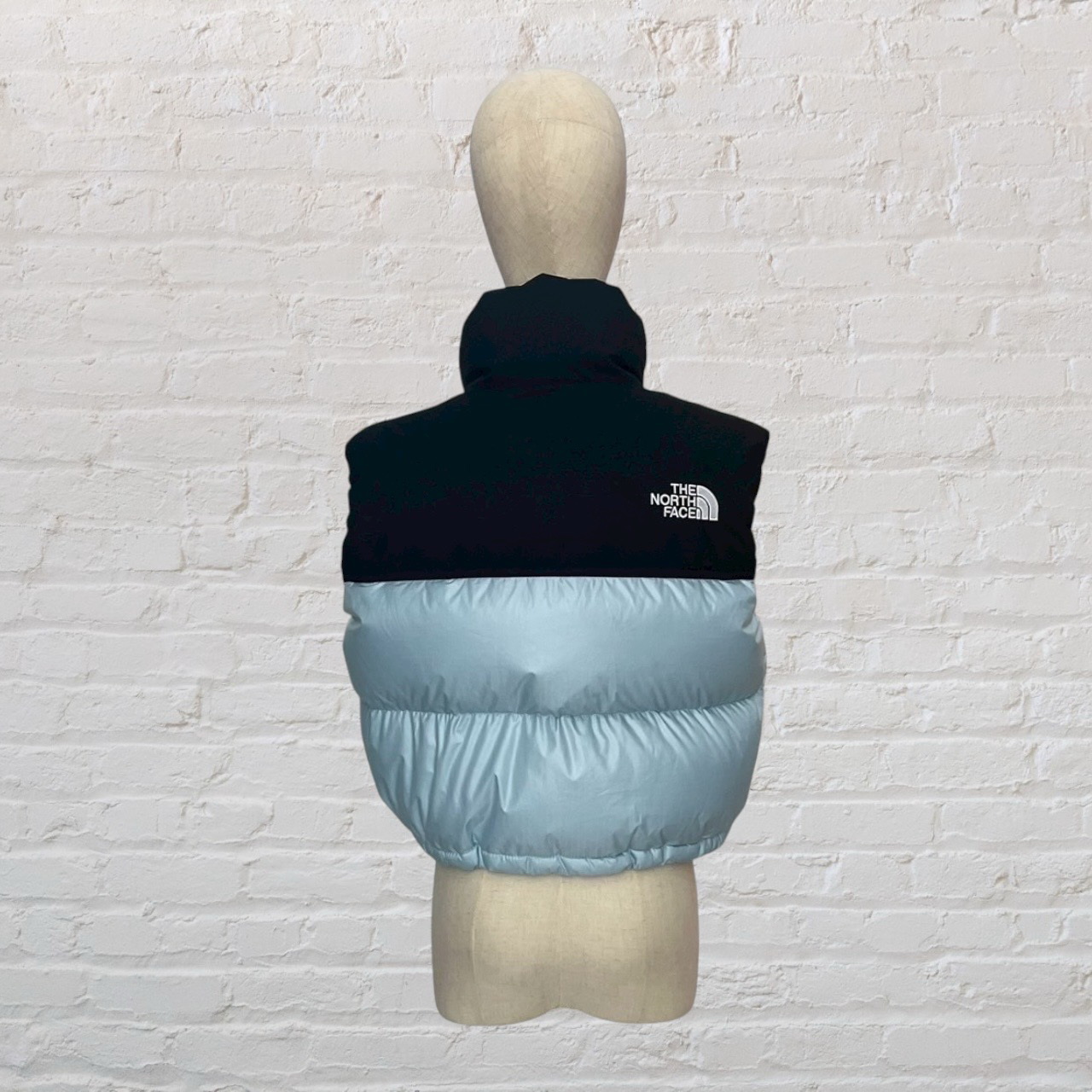 The North Face VEST