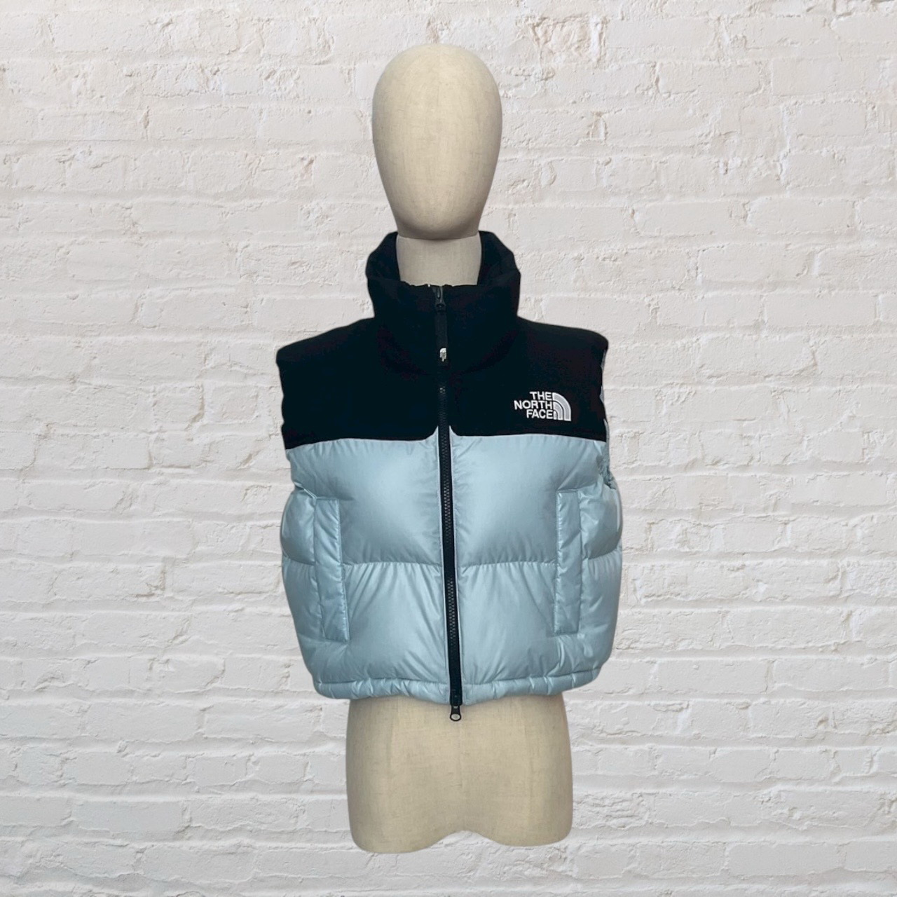 The North Face VEST