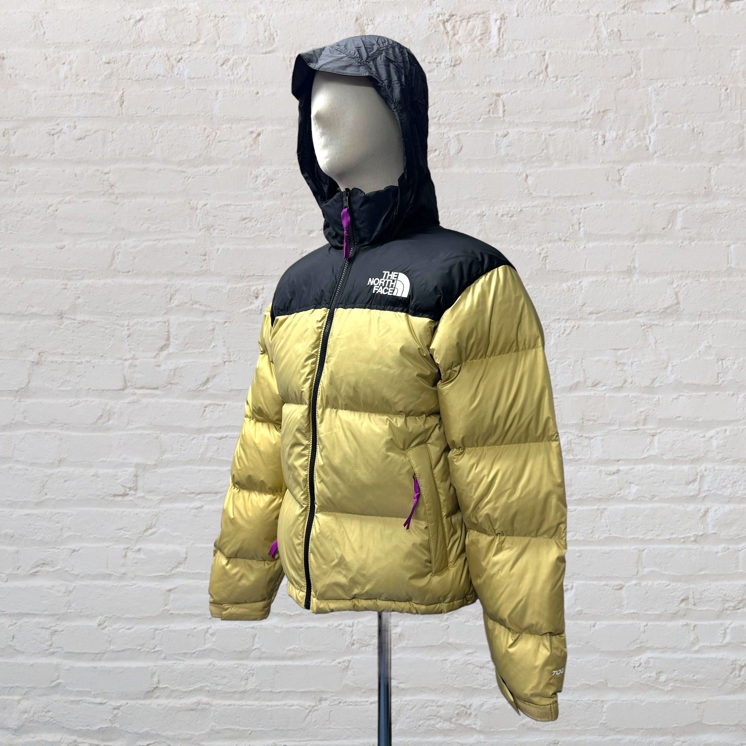 THE NORTH FACE M 1996 RETRO NUPTSE JACKET